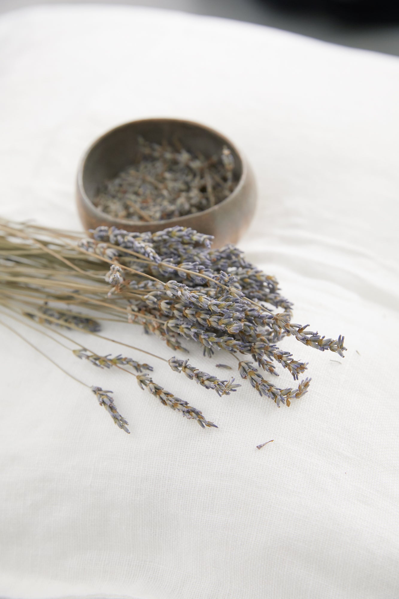 pas de calais | C/Si Lavender Print Scarf