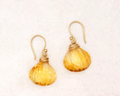River Song | Fine Citrine Seashell Earrings